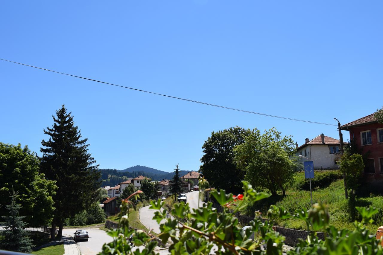 Hotel Complex Pele Zmeitsa Exteriér fotografie