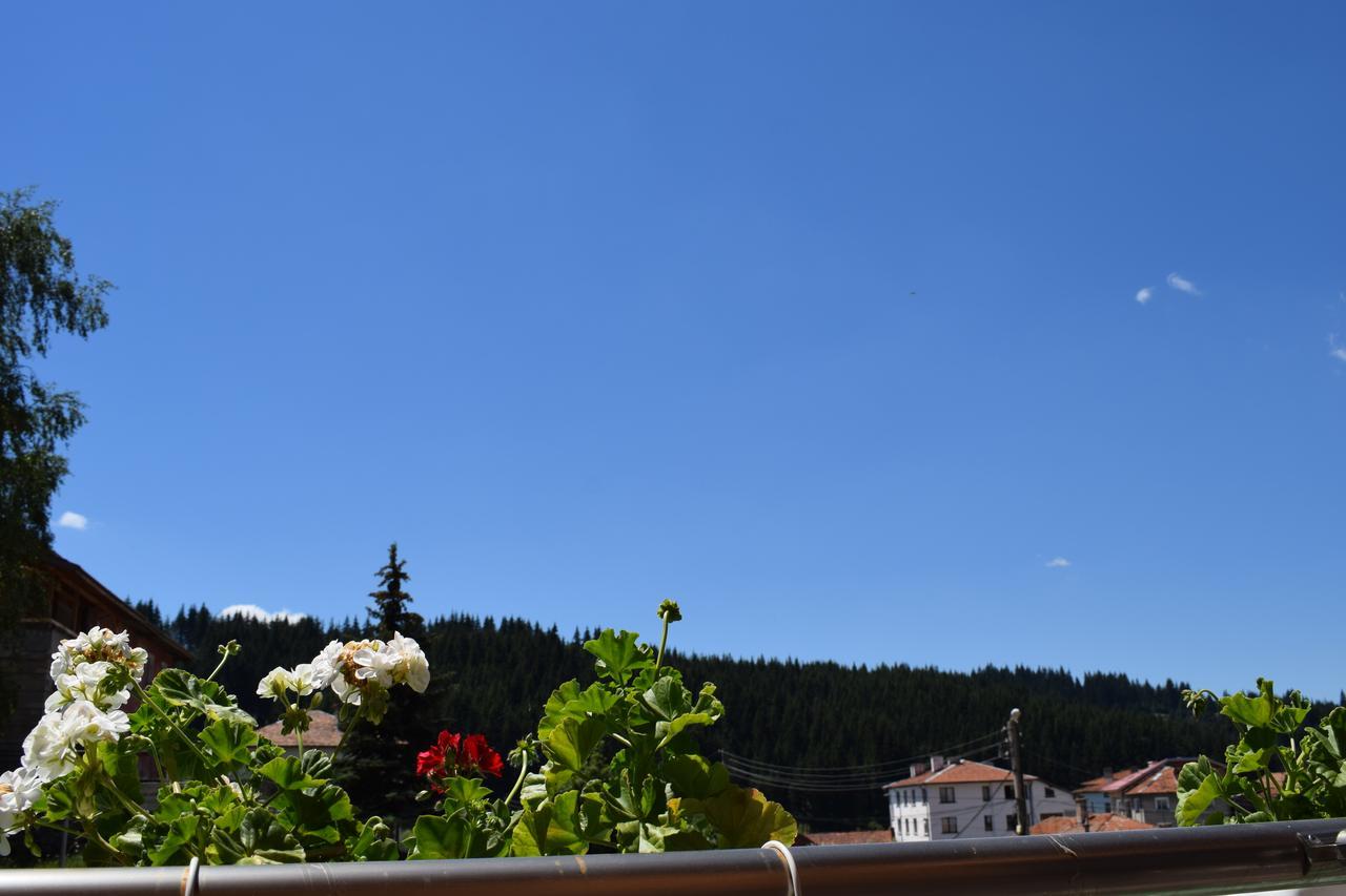 Hotel Complex Pele Zmeitsa Exteriér fotografie