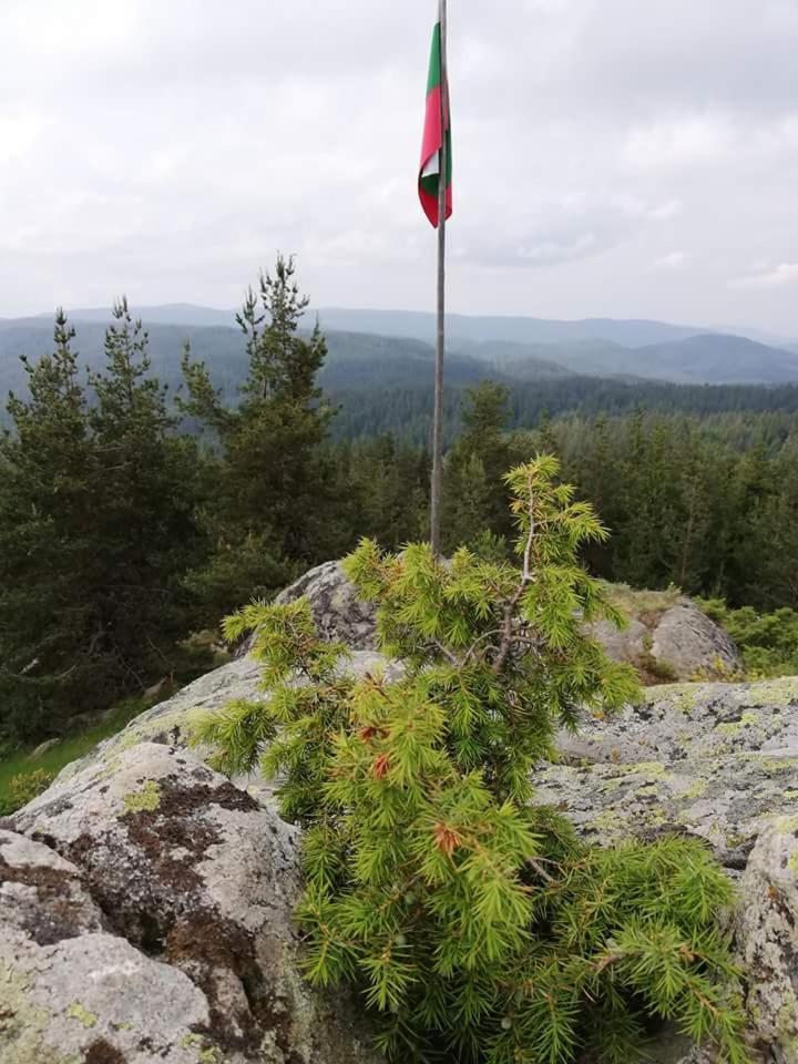 Hotel Complex Pele Zmeitsa Exteriér fotografie