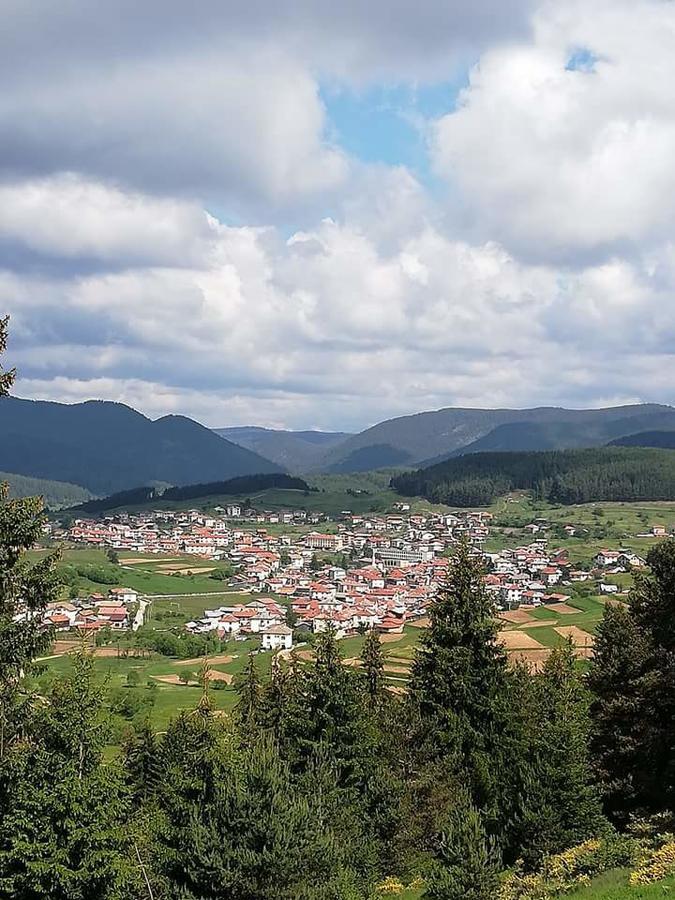 Hotel Complex Pele Zmeitsa Exteriér fotografie