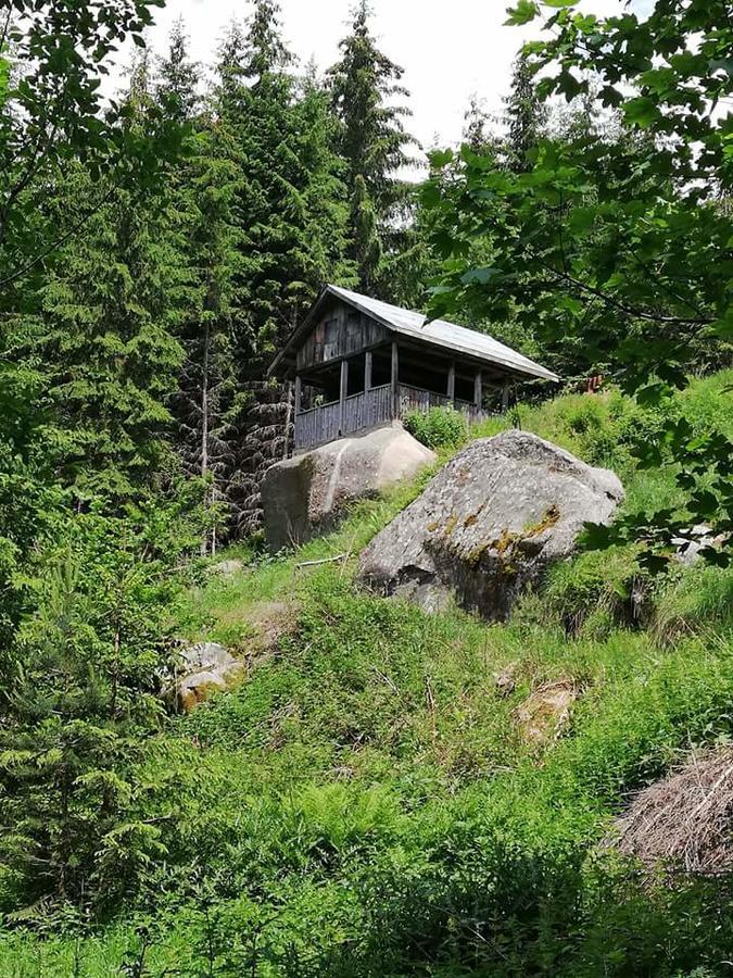 Hotel Complex Pele Zmeitsa Exteriér fotografie